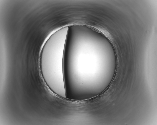 X0000087060912200704181255