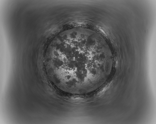 X0000087060913200704181255