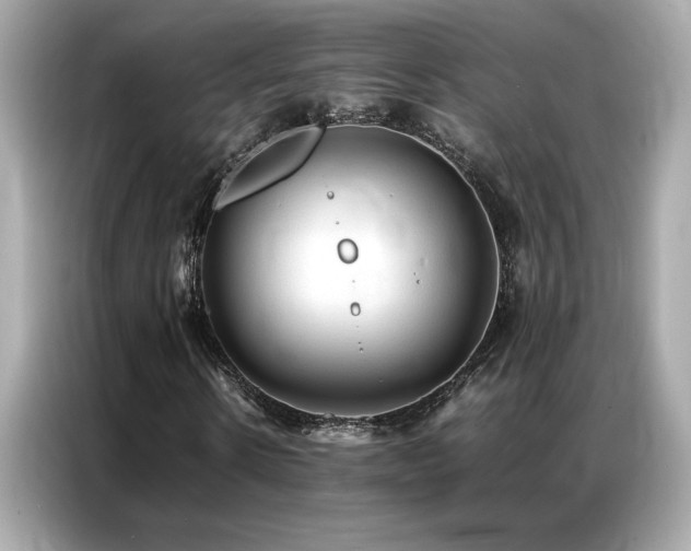 X0000087060914200704181255