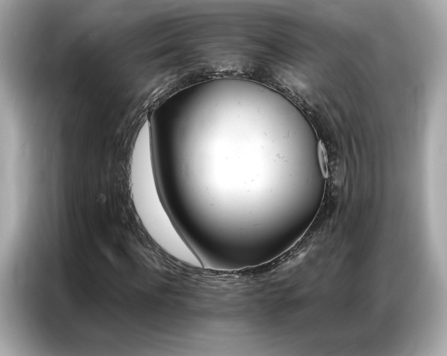 X0000087060916200704181255