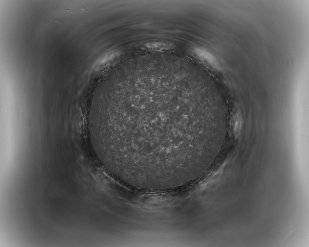 X0000087060917200704181255