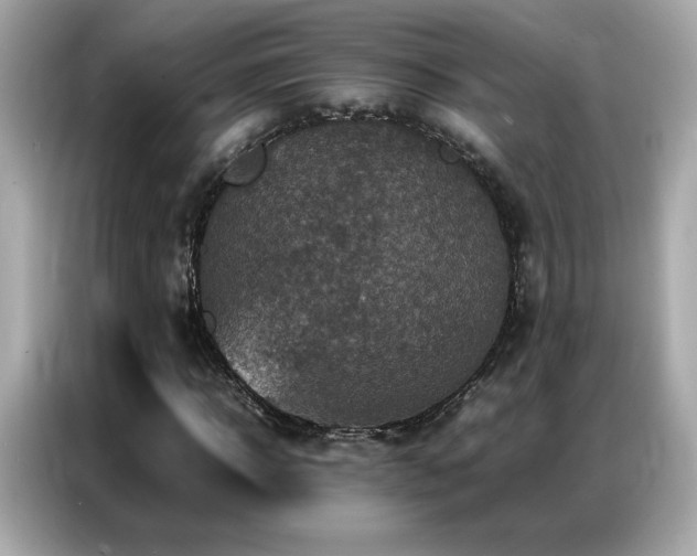 X0000087060918200704181255