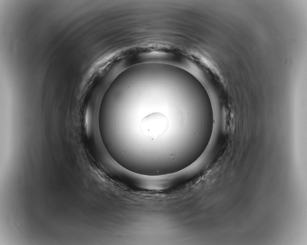 X0000087060920200704181255
