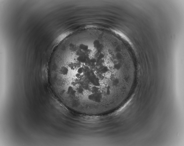 X0000087060921200704181255