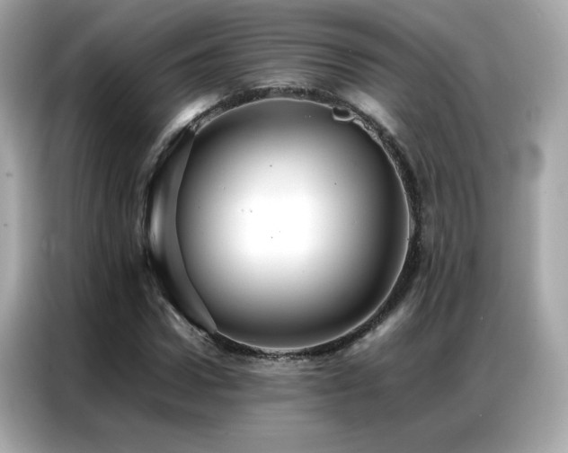 X0000087060922200704181255