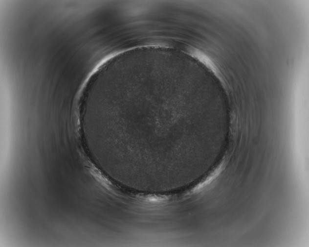 X0000087060923200704181255