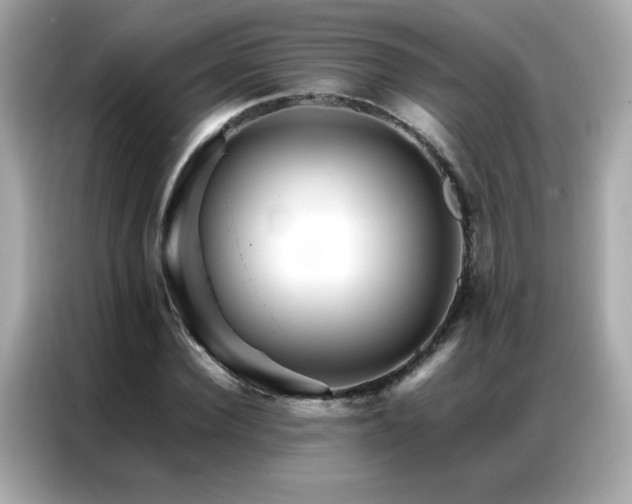 X0000087060924200704181255