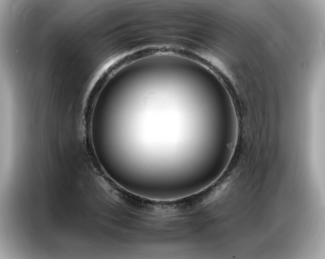 X0000087060927200704181255