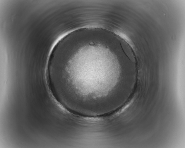 X0000087060928200704181255