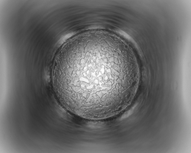 X0000087060929200704181255