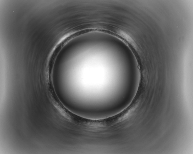 X0000087060931200704181255