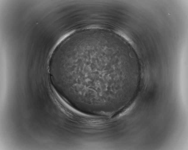 X0000087060933200704181255