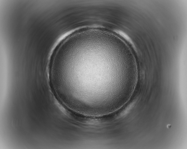 X0000087060935200704181255