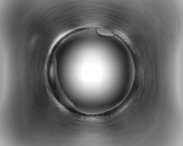 X0000087060936200704181255