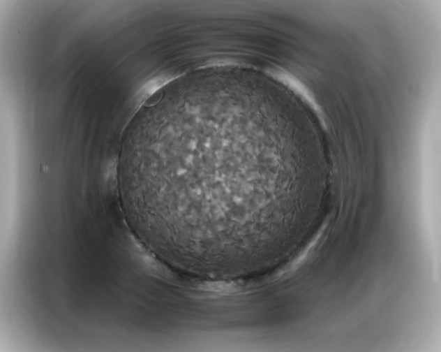X0000087060937200704181255
