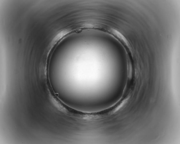 X0000087060938200704181255