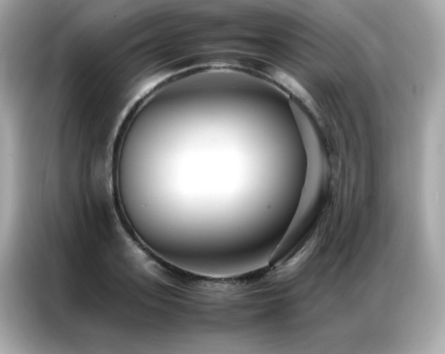 X0000087060939200704181255