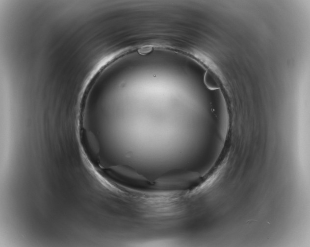 X0000087060941200704181255