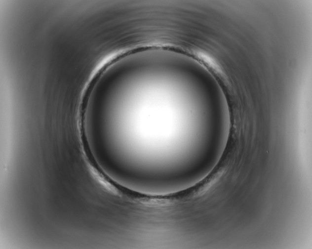X0000087060942200704181255