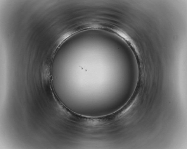 X0000087060945200704181255