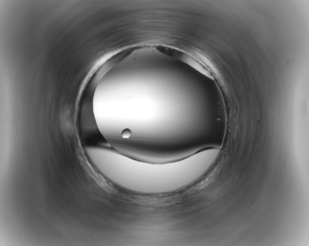 X0000087060948200704181255