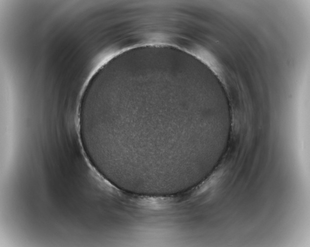 X0000087060950200704181255