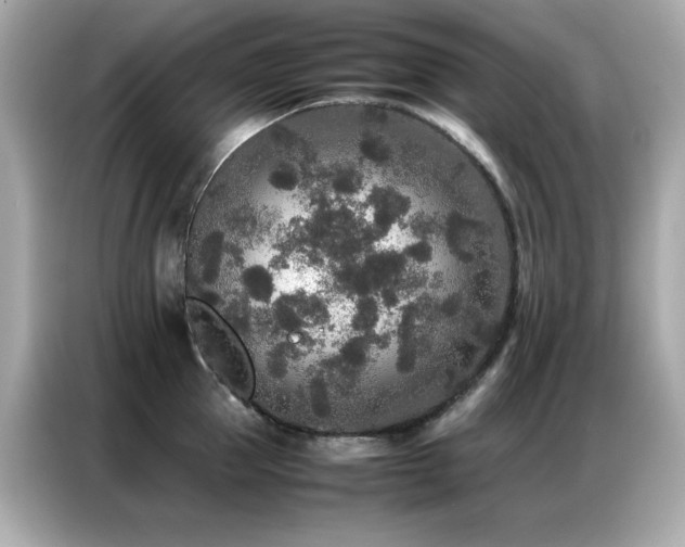 X0000087060953200704181255