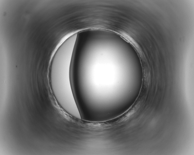 X0000087060956200704181255