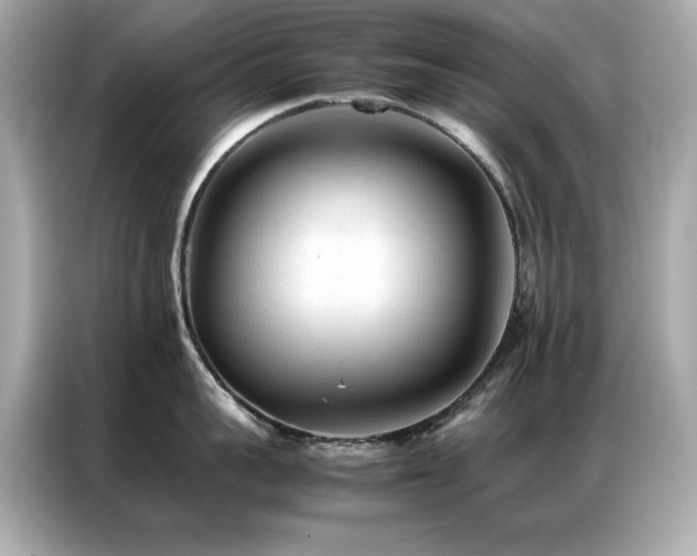 X0000087060959200704181255