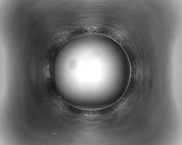 X0000087060962200704181255