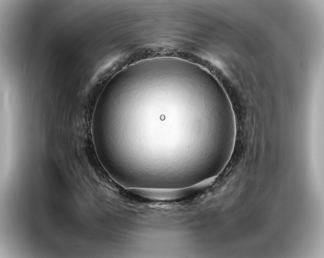 X0000087060967200704181255