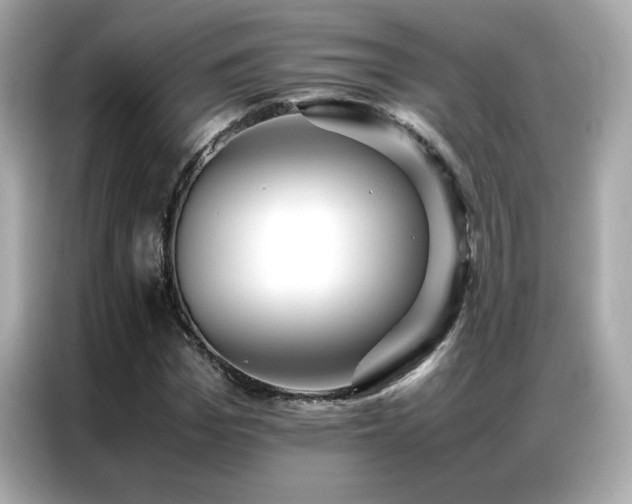 X0000087060969200704181255