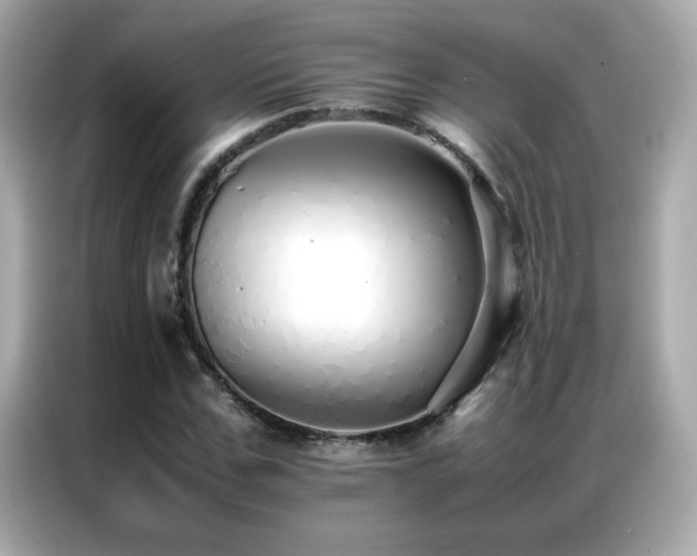 X0000087060971200704181255