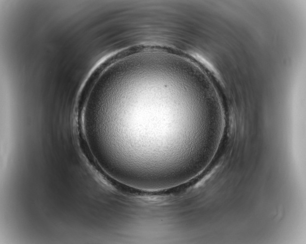 X0000087060976200704181255
