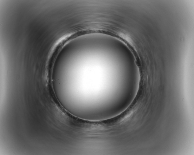 X0000087060979200704181254
