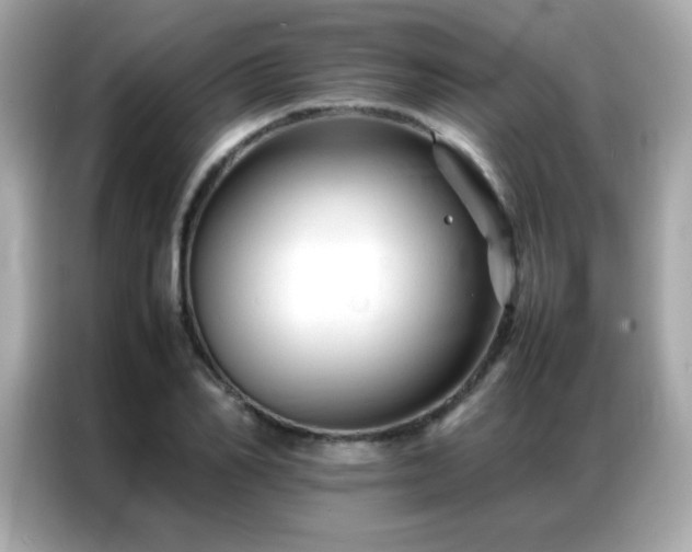 X0000087060982200704181254