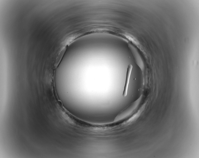X0000087060985200704181254