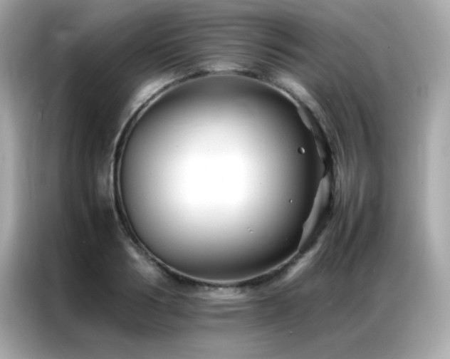 X0000087060986200704181254