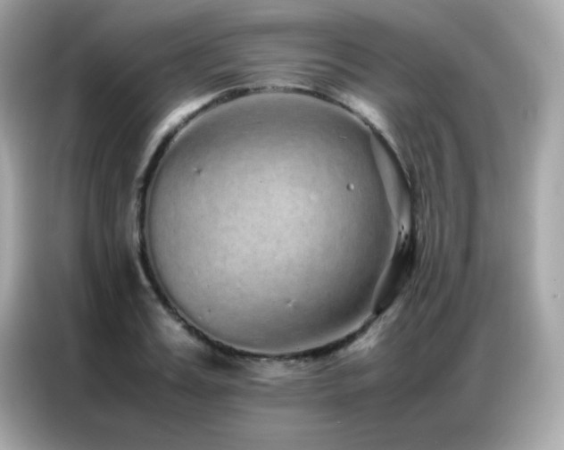 X0000087060987200704181254