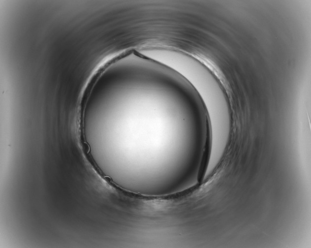 X0000087060992200704181254