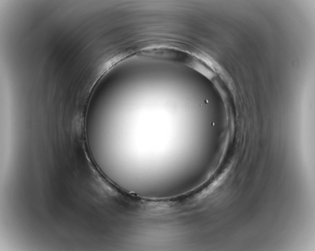 X0000087060993200704181254