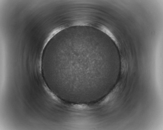X0000087060994200704181254