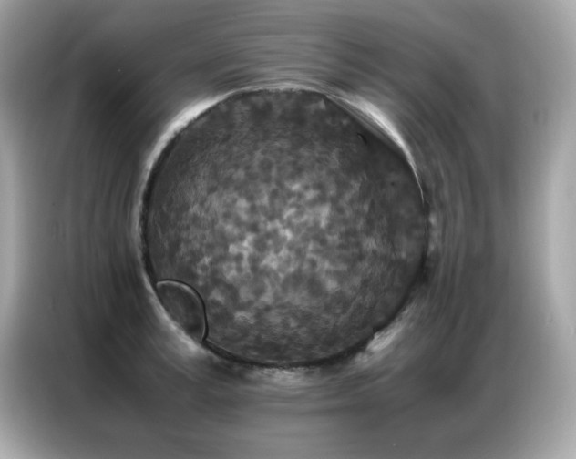 X0000087060995200704181254