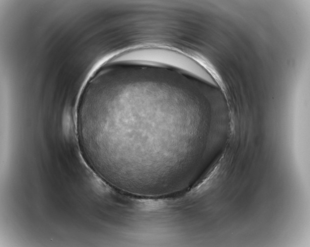 X0000087060996200704181254