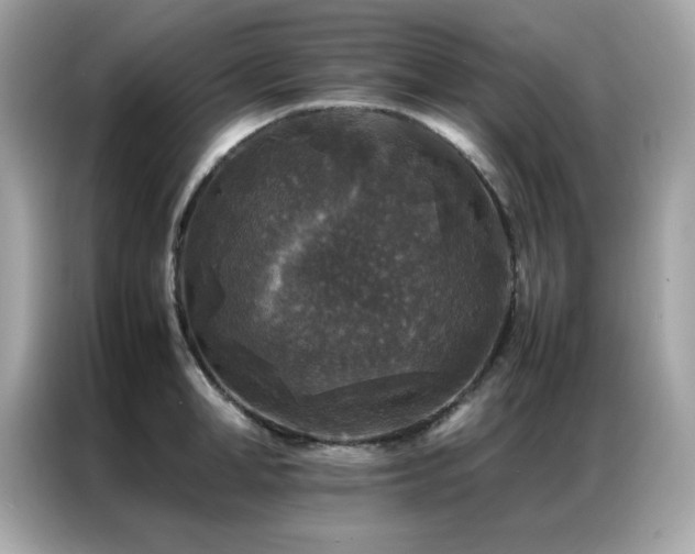 X0000087060998200704181254