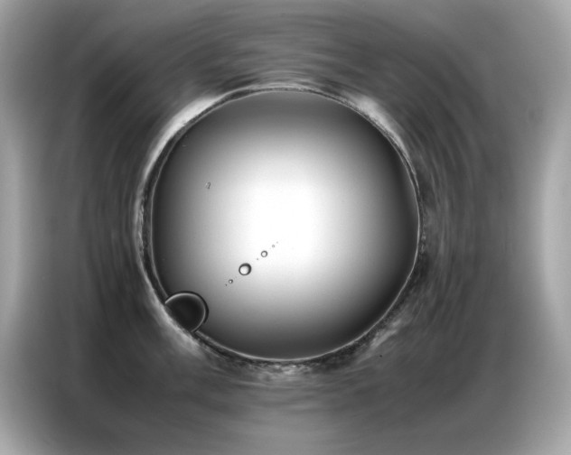 X0000087061003200704181254