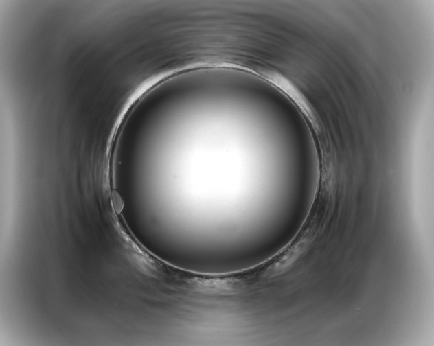 X0000087061004200704181254