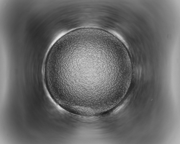 X0000087061007200704181254