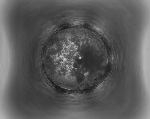 X0000087061009200704181253