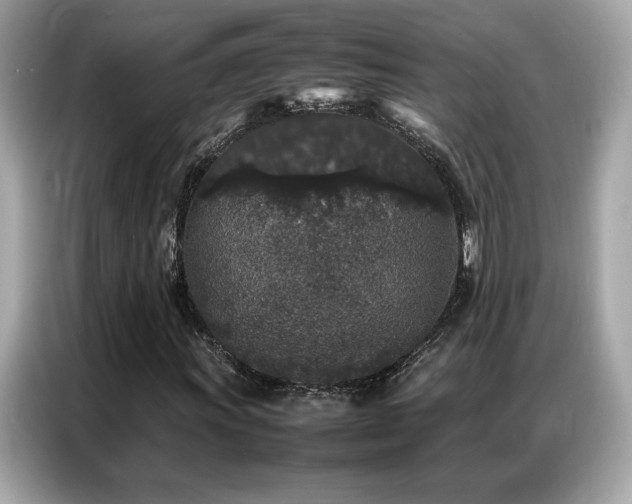 X0000087061011200704181253